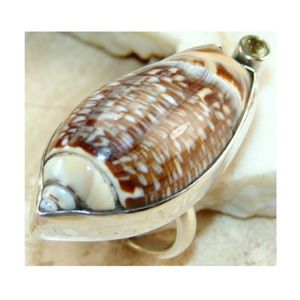 Seashell gorgeous ring